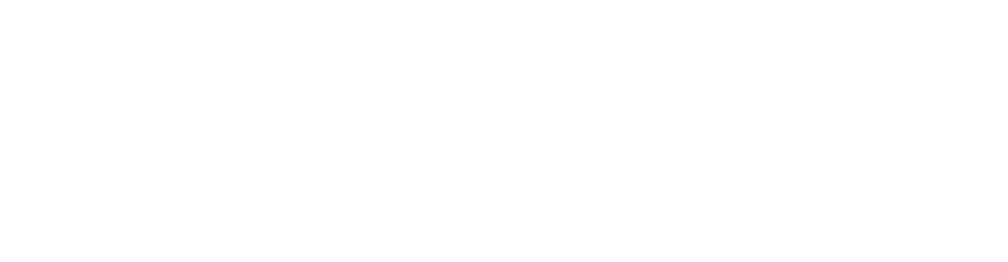 Teixidets